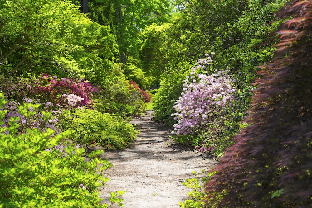 Martha's Vineyard arboretum walking trail