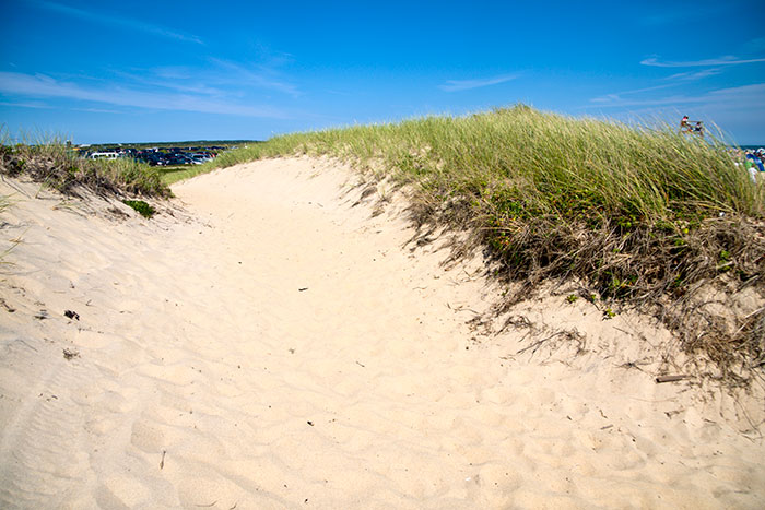 South Beach in Edgartown, Martha's Vineyard