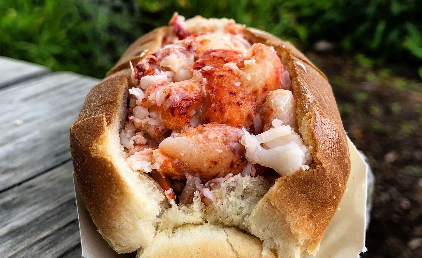 Lobster roll on Martha's Vineyard