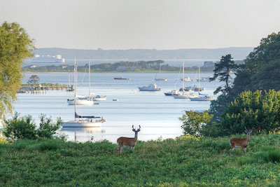 Tashmoo Overlook in Vineyard Haven Harbor