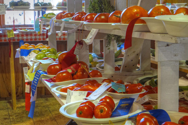 West Tisbury Agricultural Fair