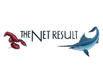 The Net Result Logo