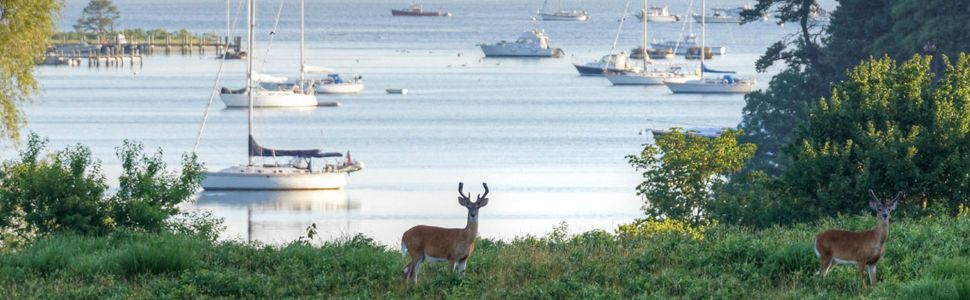 tashmoo lake martha's vineyard