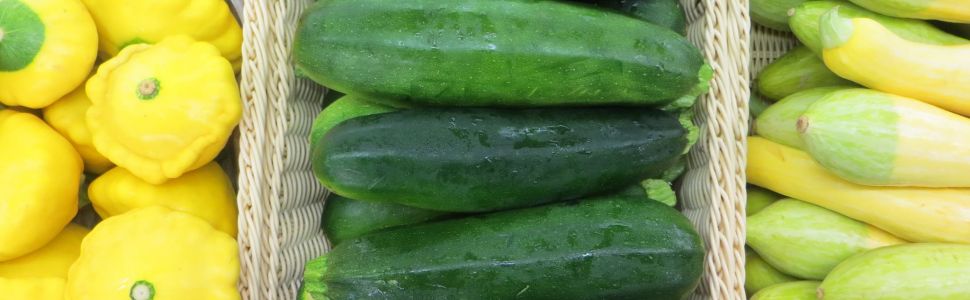 Chilmark General Store Veggies 