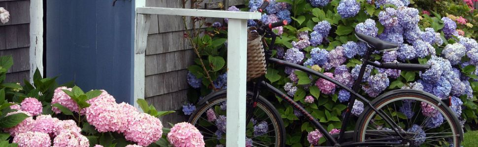 Bicycle in front of Martha's Vineyard house