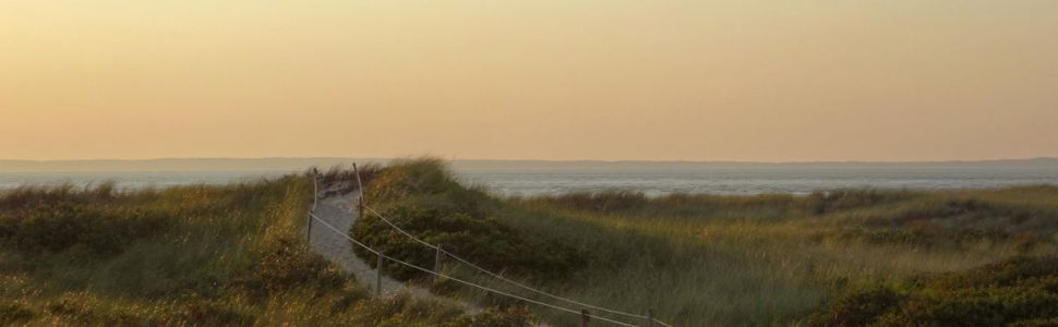 West Tisbury Cedar Tree Neck Sanctuary